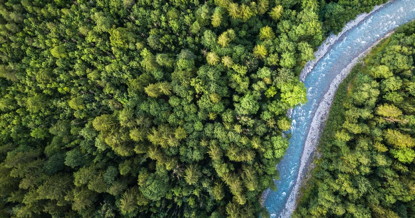 Qualität und Umwelt